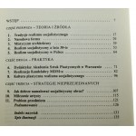 Socrealizm Sztuka Polska w latach 1950-1954 Włodarczyk Wojciech [Historia i teraźniejszość 11]