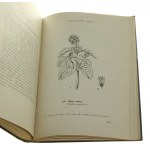 Siano Opis botaniczny i wartość użytkowa Kazimierz Kahl [1938]