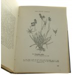 Siano Opis botaniczny i wartość użytkowa Kazimierz Kahl [1938]