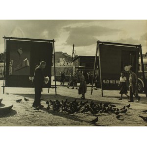 Korab Warszawskie gołębie sierpień 1955 fotografia Eugeniusz Haneman [vintage print ca 1955]