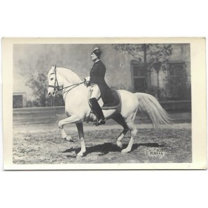 Piaffe [koń - jeździectwo - piaff] fotografia na papierze pocztówkowym [przed 1939]