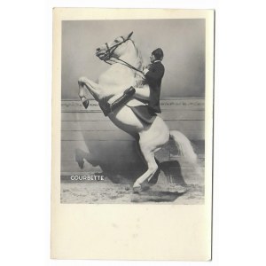 Courbette [koń - jeździectwo - kurbetta] fotografia na papierze pocztówkowym [przed 1939]