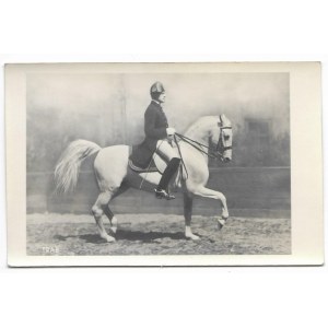 Trab [koń - jeździectwo] fotografia na papierze pocztówkowym [przed 1939]
