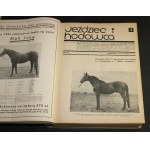 Jeździec i Hodowca Organ Tow. Zachęty do Hodowli Koni w Polsce [etc.] Nr-y 3-36 / 1935 [współoprawne]
