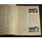 Jeździec i Hodowca Organ Tow. Zachęty do Hodowli Koni w Polsce [etc.] Nr-y 1-36 / 1936 [rocznik / współoprawne]