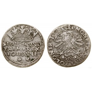 Polska, grosz, 1545, Kraków
