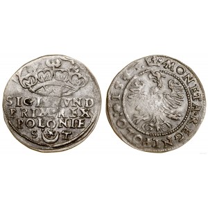 Polska, grosz, 1546, Kraków