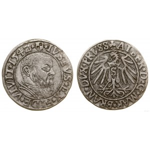 Prusy Książęce (1525-1657), grosz, 1542, Królewiec