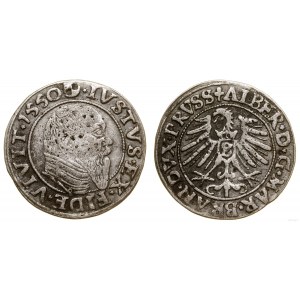 Prusy Książęce (1525-1657), grosz, 1550, Królewiec