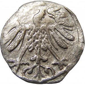 Zygmunt II August, denar 1559, Wilno
