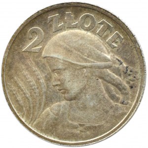 Polska, II RP, Kłosy, 2 złote 1924, Paryż, bardzo ładne