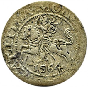 Sigismund II. Augustus, halber Pfennig 1564, LITV/LI, Vilnius