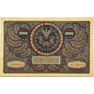 Polen, Zweite Republik, 1000 Mark 1919, 3. Serie AO - Typ 8, Warschau, schön!