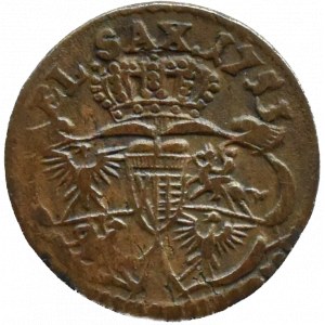 August III Sas, šiling 1753, Gubin