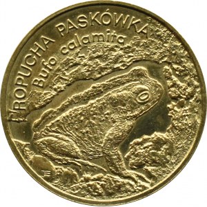 Polen, III RP, 2 Zloty 1998, Kröte Paskówka, Warschau