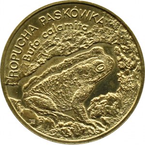 Polska, III RP, 2 złote 1998, Ropucha Paskówka, Warszawa