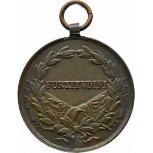 Karol, medal za odwagę (Fortitudini), sygn. Kautsch