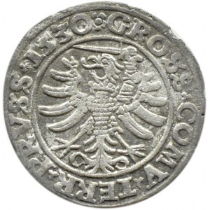 Zygmunt I Stary, grosz pruski 1530, Toruń