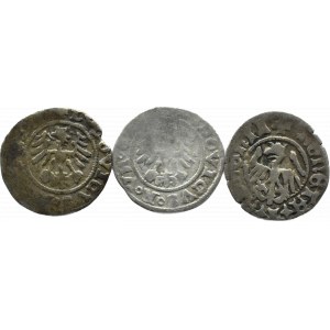 Poland/Silesia, Casimir IV and Ludwig I, flight of half-pennies, Świdnica/Krakow