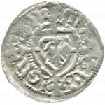 Teutonic Order, Jan von Tiefen (1489-1497), shilling without date (6)