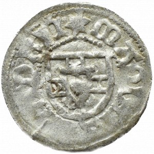 Teutonic Order, Reffle von Richtenberg (1470-1477), a shilling without date (10)