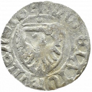 Kasimir IV. Jagiellone, Schilling ohne Datum, Toruń
