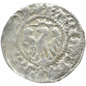 Casimir IV Jagiellonian, shilling without date, Elblag