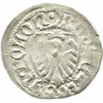 Casimir IV Jagiellonian, shilling, Gdansk, (crescent with dot/double cross)