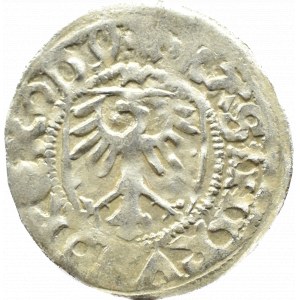 Kasimir IV. Jagiellone, Schilling, Danzig (Rosette/Ring)