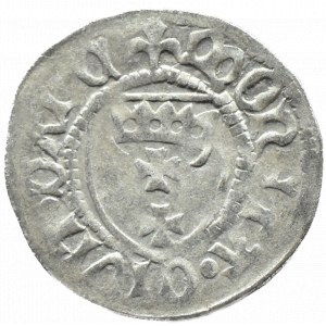 Casimir IV Jagiellonian, shell, Gdansk (....../lilijka)