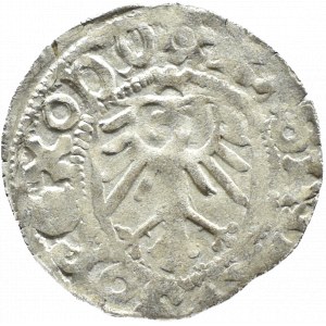 Casimir IV Jagiellonian, shilling, Gdansk (rosette/circle)