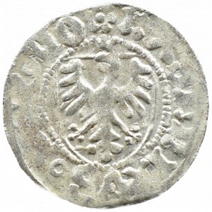 Casimir IV Jagiellonian, shilling, Gdansk (rosette/circle)
