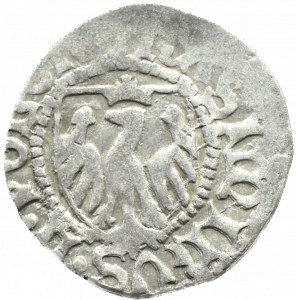Kasimir IV. Jagiellone, Szepter, Danzig (Rosette/Lilie)