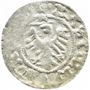 Casimir IV Jagiellonian, shilling, Gdansk (rosette/ring)