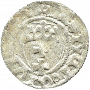 Kasimir IV. Jagiellone, Schilling, Danzig (Rosette/Ring)