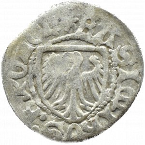 Kasimir IV. Jagiellone, Schilling, Danzig, ohne Krone über Adler, (Stern/Ring)
