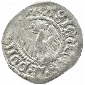 Kasimir IV. Jagiellone, Schilling, Danzig (Stern/Doppelring)