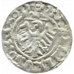Casimir IV Jagiellonian, shilling, Gdansk (rosette/ring) KΛSIMIRVS⸰REX⸰P
