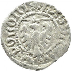 Casimir IV Jagiellonian, shilling, Gdansk (rosette/double cross)