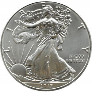 USA, Liberty (Eagle), 1 dolár 2017, Philadelphia, UNC