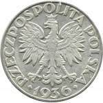 Polska, II RP, Żaglówka, 5 złotych 1936, Warszawa