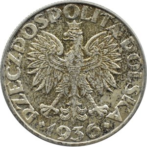 Polska, II RP, Żaglówka, 5 złotych 1936, Warszawa, piękne!