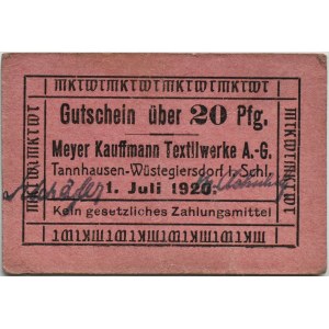 Tannhausen-Wüstegiersdorf/Jedlinka-Zdrój (Slezsko), 20 Pfennig 1920, RARE