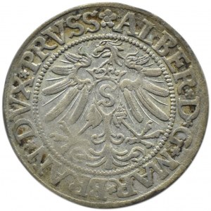 Prusy Książęce, Albrecht, grosz pruski 1533, Królewiec