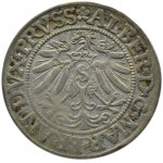 Ducal Prussia, Albrecht, Prussian penny 1533, Königsberg