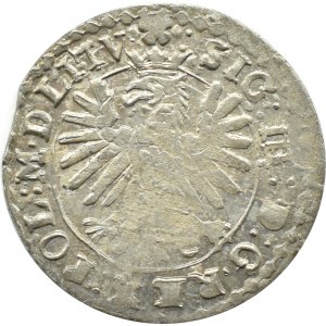 Zygmunt III Waza, grosz 1610, Wilno, LITV/LIT