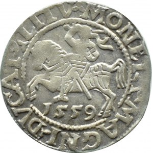 Zygmunt II August, półgrosz 1559, Wilno, LITV/LI, RZADKA ODMIANA