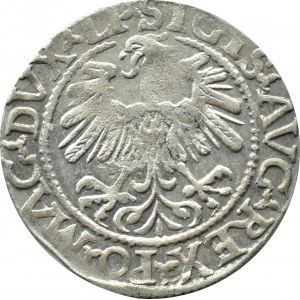 Zikmund II Augustus, půlpenny 1559, Vilnius, LITV/LI, vzácná VARIETA