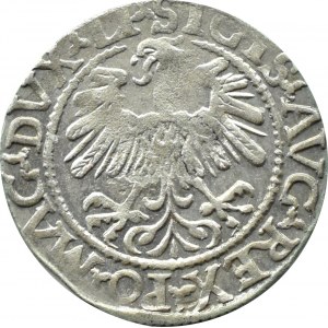 Zygmunt II August, półgrosz 1559, Wilno, LITV/LI, RZADKA ODMIANA