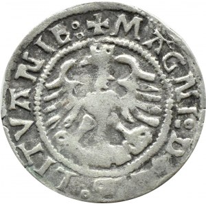Sigismund I. der Alte, halber Pfennig 1525, Vilnius, RARE